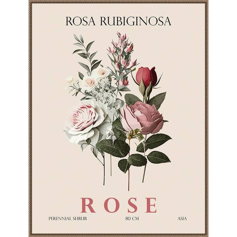 Vintage Botanical Rose Illustration by Christopher Giampietro Framed Canvas Wall Art Print