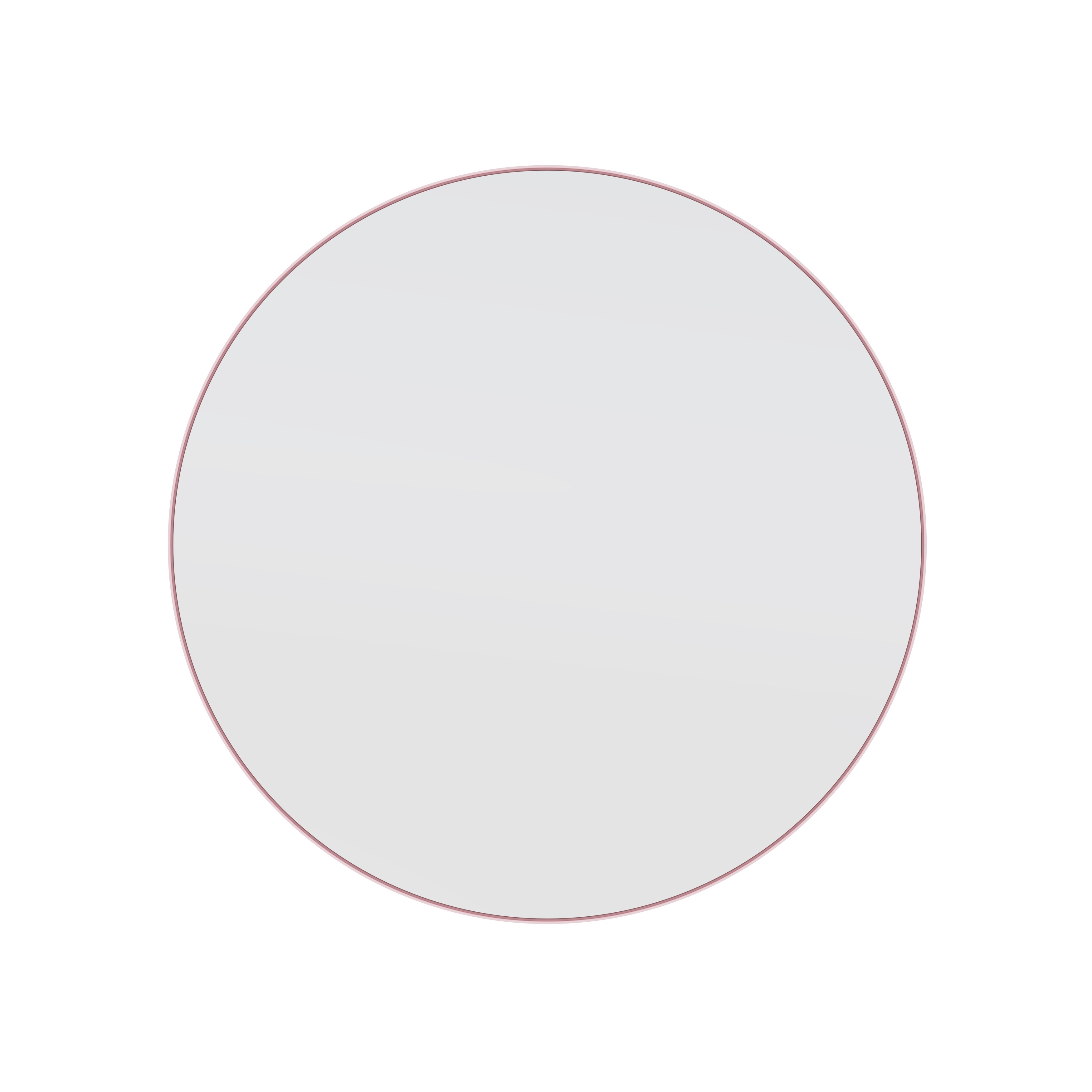 Glass Warehouse Round 28" Stainless Steel Framed Mirror