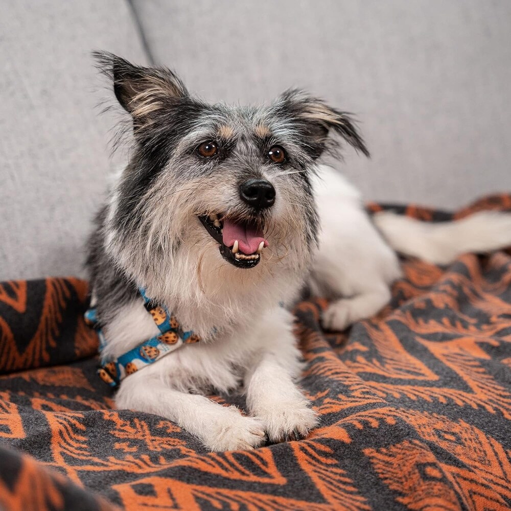 Rustic, Abstract Blankets and Throws Shop our Best Blankets Deals