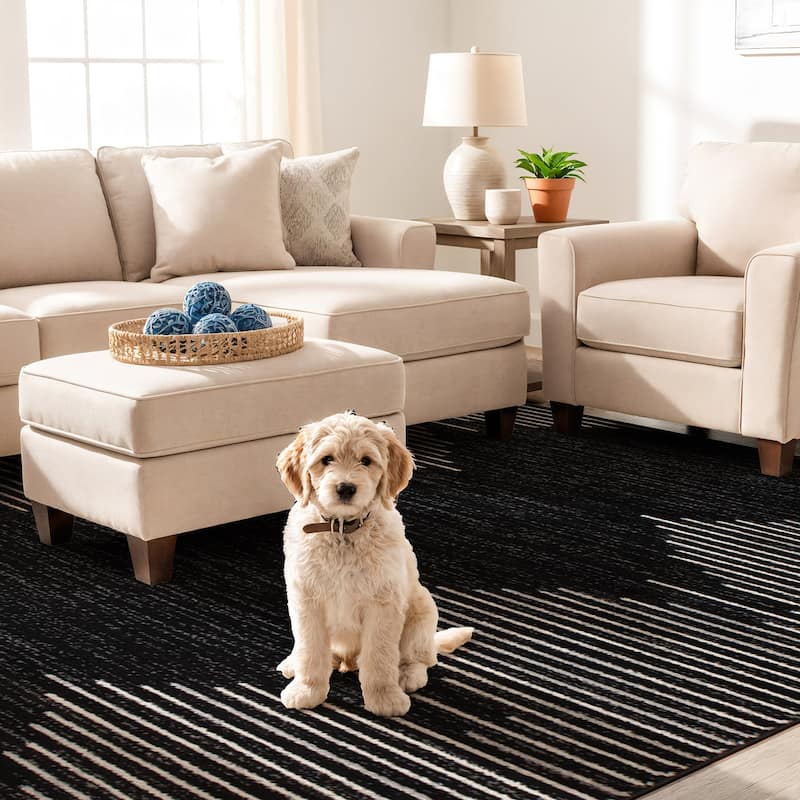 Bohemian Stripe Area Rug - 5' x 7' - Black