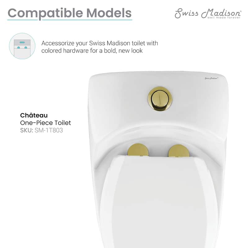 Toilet Hardware Brushed Gold