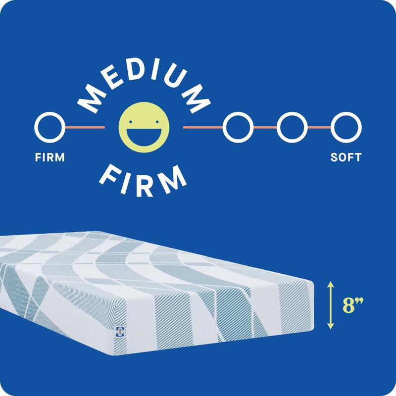 Sealy Dreamlife 8" Foam Mattress-in-a-Box