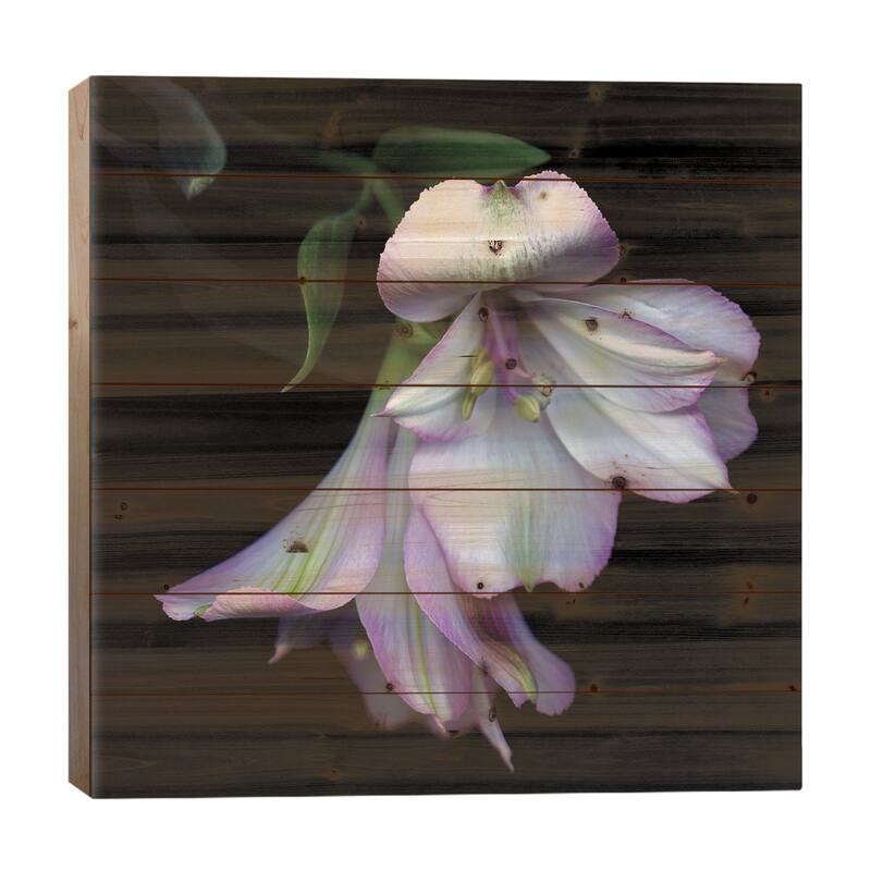 I Feel Pretty, Ooohh So Pretty Print On Wood by Magda Indigo - Multi-Color - 26x26x1.5