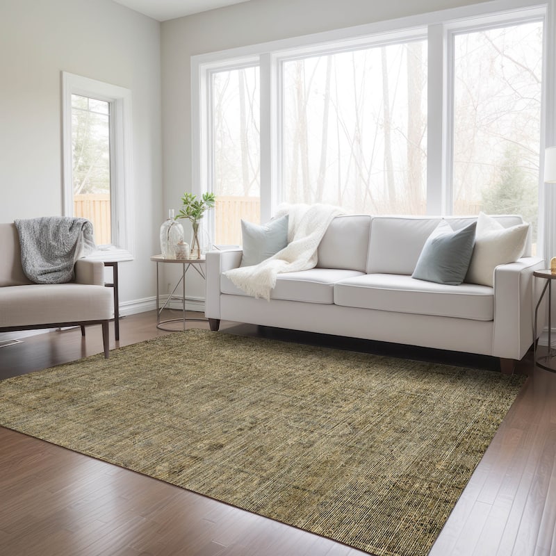Machine Washable Indoor/ Outdoor Chantille Distressed Traditional Rug