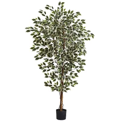 Hawaiian Vintage Tree - 6Ft Tropical Decor - Lush Green White Foliage - Indoor Plant - Home Office Gift - 6ft.