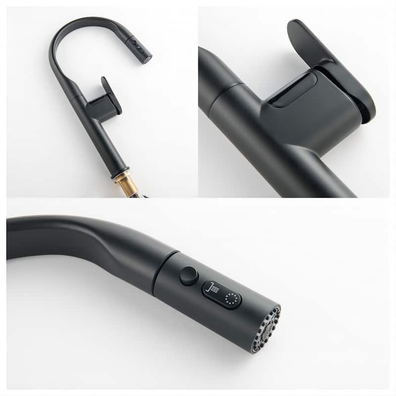18''H 3-mode Temperature Display Kitchen Faucet with Pull Sown Sprayer in Black/Gold
