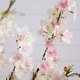 preview thumbnail 8 of 6, Pre-Lit Cherry Blossom Artificial Tree - 4' - Warm White LED Lights