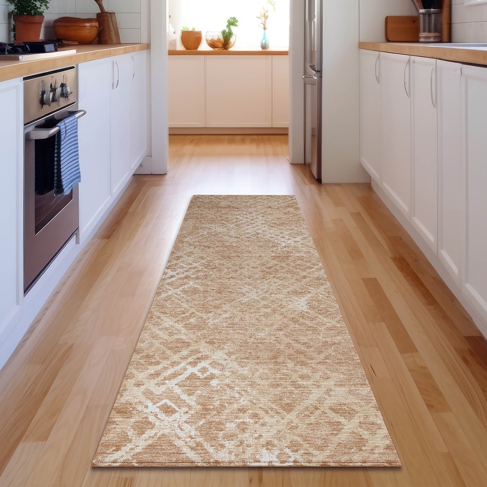 Premium Washable Super Soft Modern Trellis Mayfield Rug