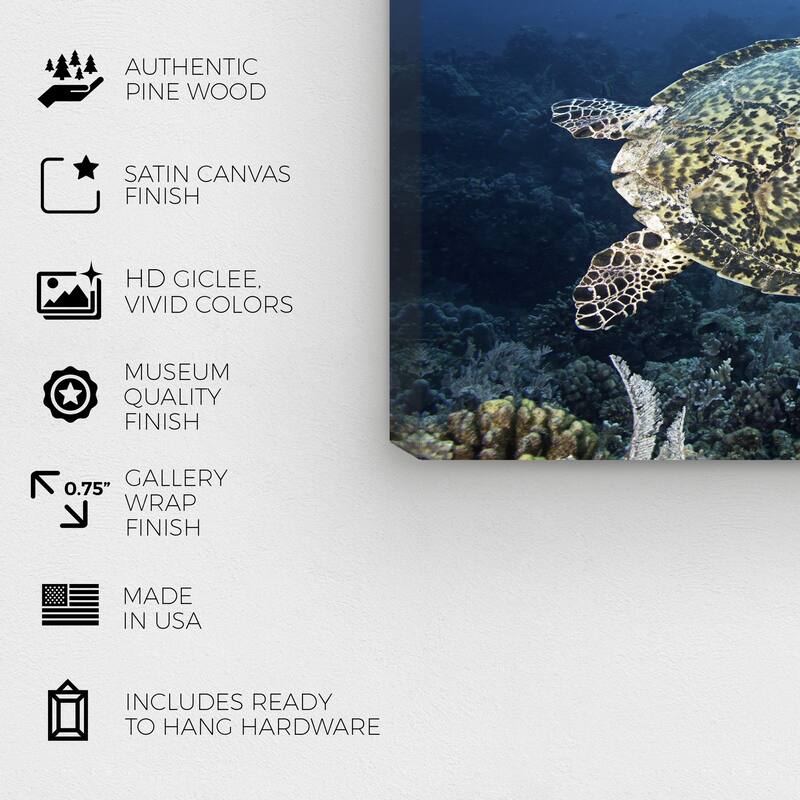 Wynwood Studio Canvas Animals David Fleetham - Hawksbill Turtle Blue and Emerald Nautical & Coastal Wall Art Canvas Print