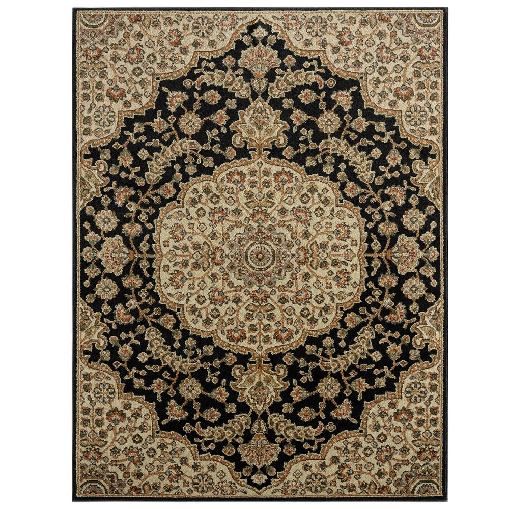 Home Dynamix Royalty Medallion Traditional Area Rug