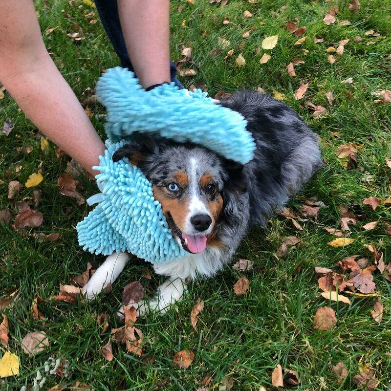 Perro & Gato Microfiber Chenille Pet Drying Mitt - 20x40 - Aqua
