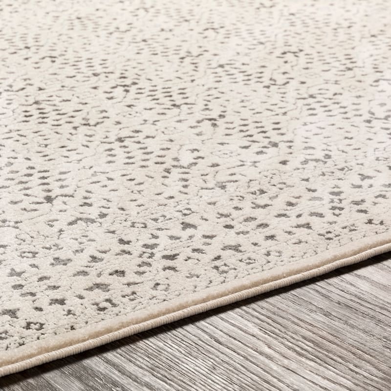 Katenka Grey Traditional Accent Rug - 2' x 3'