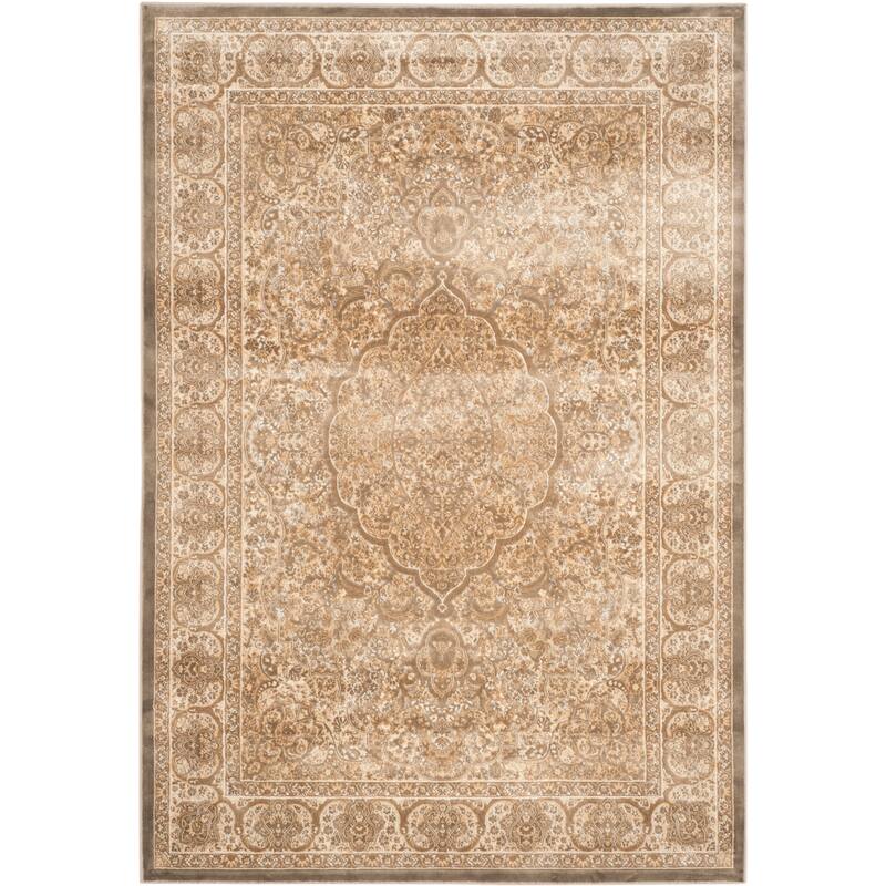 SAFAVIEH Paradise Anfisa Modern Viscose Rug - 4'  x  5'7" - Mouse/Silver - Rectangle