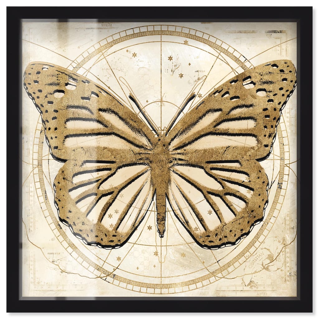 Astro Fluttering Wings Shadowbox by Art Remedy