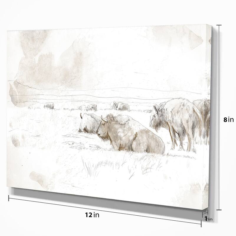 Designart "Wild Bison Buffalo Sketch" Farmhouse Animal Print on Wrapped Canvas