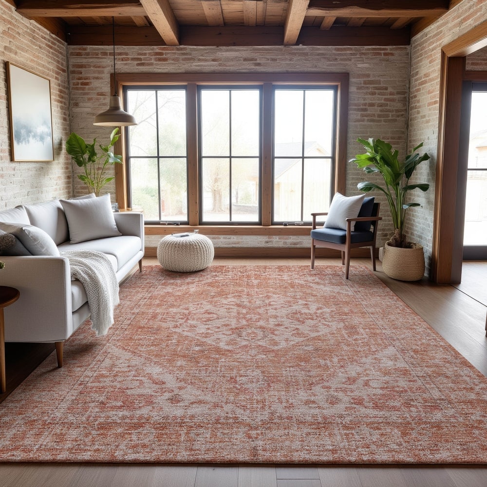 Premium Washable Super Soft Vintage Traditional Mayfield Rug