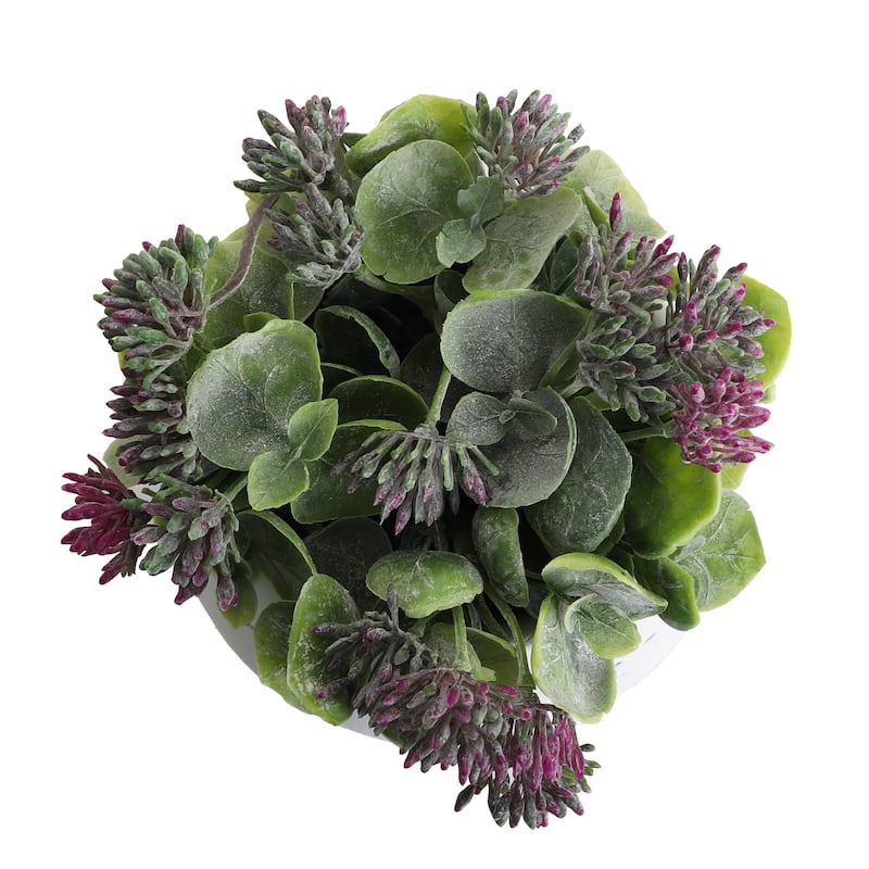 Succulent Garden - Mini - Valencia - 1 Pack