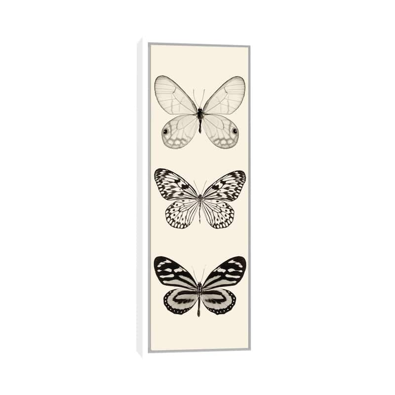 iCanvas "Butterfly Panel II In B&W" by Debra Van Swearingen Framed Canvas Print - 36x12 - White