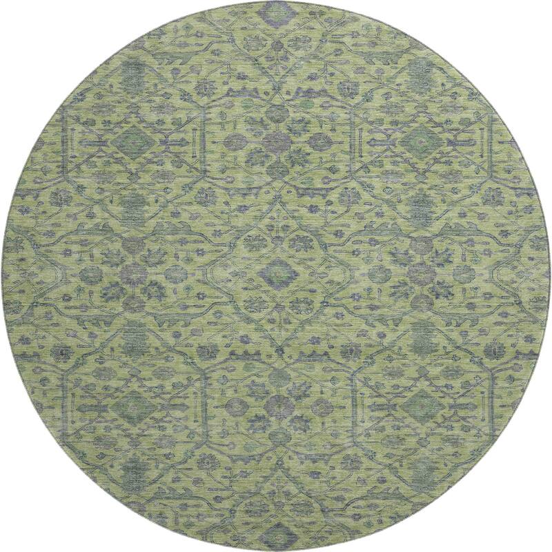 Premium Washable Super Soft Traditional Persian Mayfield Rug