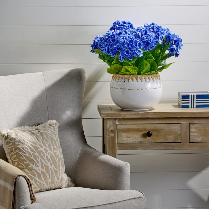 22" Potted Garden Hydrangea - Blue