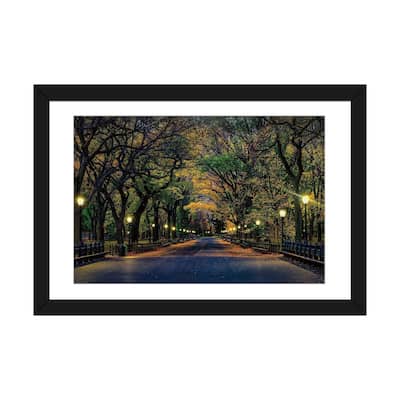 iCanvas "Central Park Magic" by David Gardiner