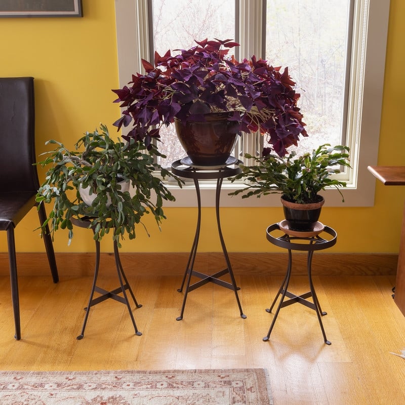 Achla Designs 15.5"H Roman Bronze Powedercoat Finish Wrought Iron Indoor Outdoor Tara Plant Stand - Small, Patio Garden Accent