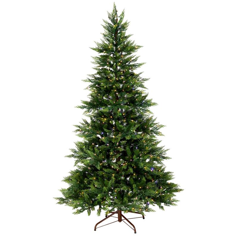 National Tree Company 7.5 ft. Pre-lit Feel Real Artificial Festive Fern Hinged Christmas Tree with 600 Clear Lights