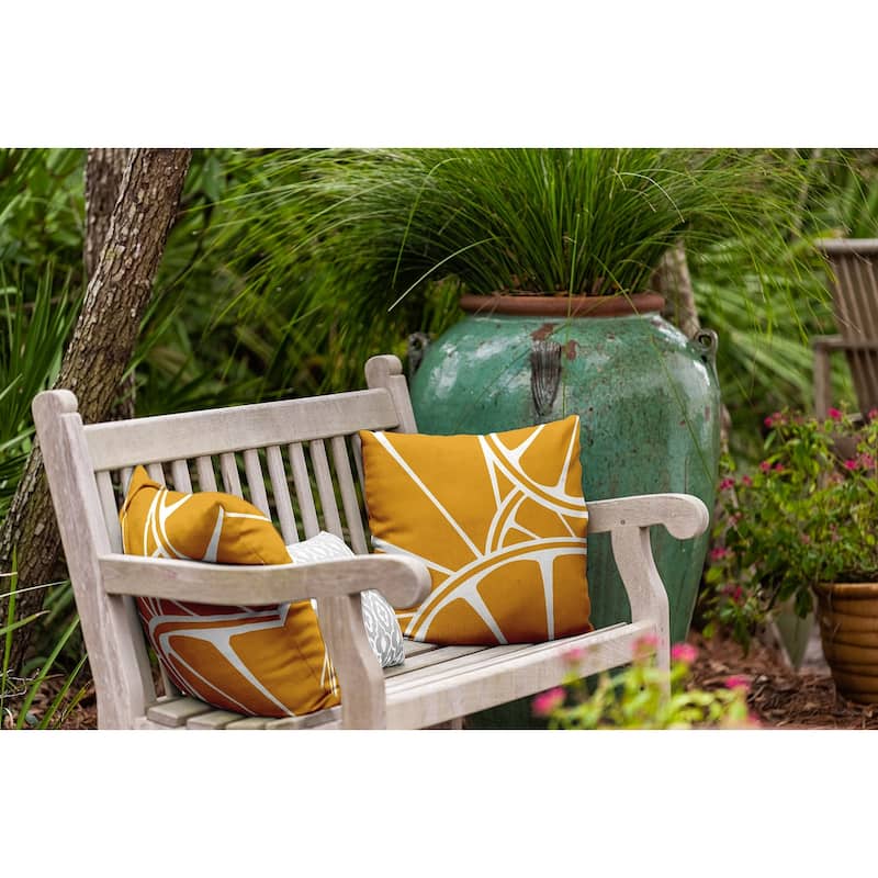 Fruit Wedges Indoor/Outdoor Throw Pillow