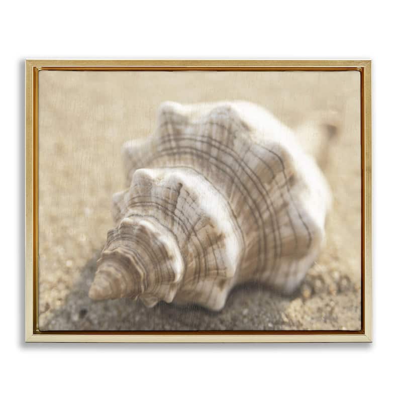 Stupell Neutral Tone Conch Shell Framed Floater Canvas Wall Art Design By Dora Rotondella - 31 x 25 - Gold