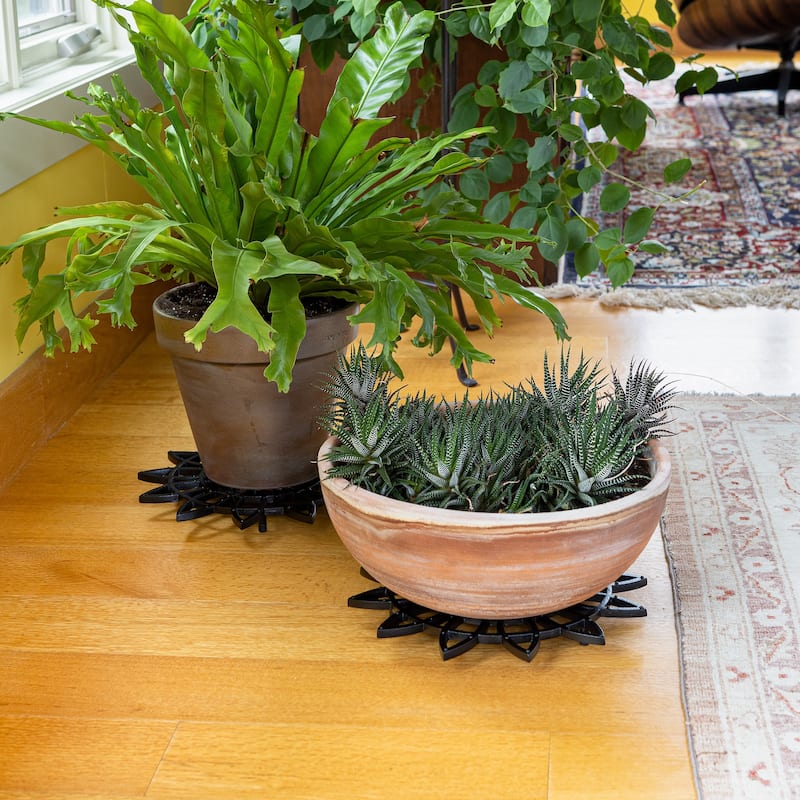 Achla Designs 12"W Black Powedercoat Finish Wrought Iron Flower Trivet (Set of 2)
