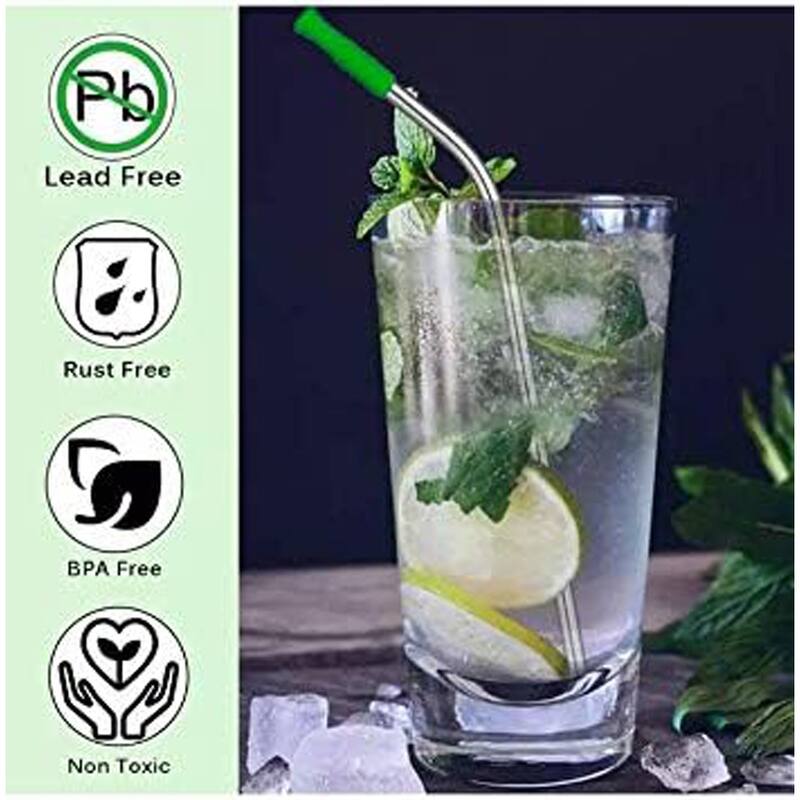 Stainless Steel Reusable Straw set with Silicon Tips and Travel Case