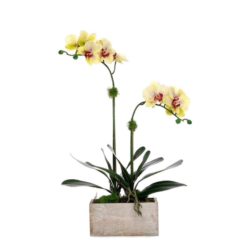 Yellow Real Touch Orchid Flower Arrangement in White Rectangular Pot