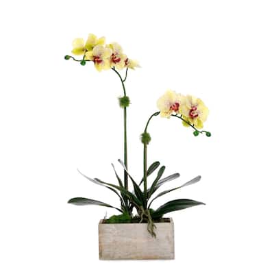 Yellow Real Touch Orchid Flower Arrangement in White Rectangular Pot