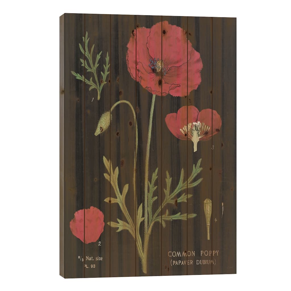 Poppy Chart Print On Wood by Sue Schlabach - Multi-Color