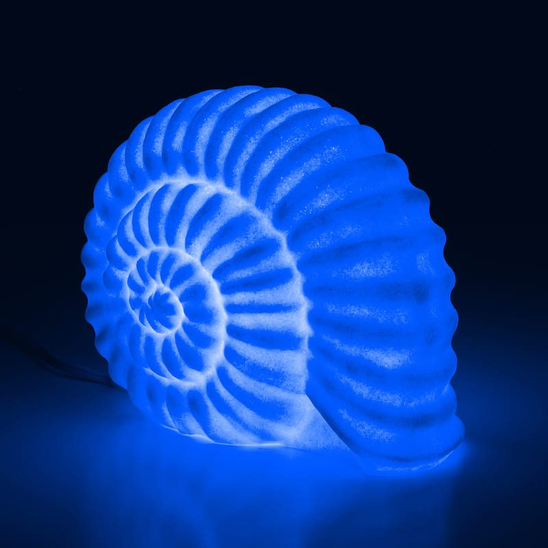 Aria Home Snail Table Lamp Sculpted Sandstone Accent Lighting