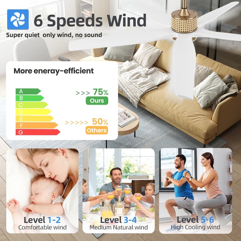 60 Inch. 5 Blades Dc Motor Indoor Ceiling Fan With Light Kit And Remote - 60"