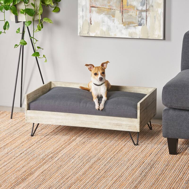Roomfitters Modern Dog Bed with Cushion, Elevated Pet Sofa with Hairpin Legs for Living Room Decor, Dark Gray