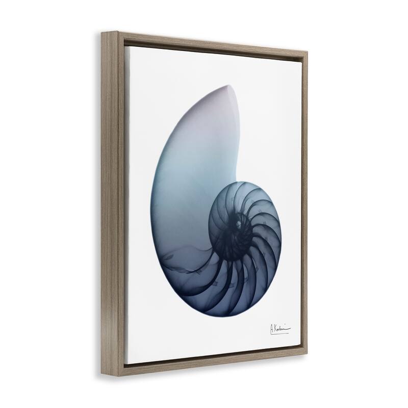 Stupell Contemporary Nautilus Shell Framed Floater Canvas Wall Art Design by Albert Koetsier