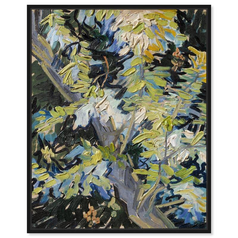 Blossoming Acacia Branches 1890 Canvas by Art Remedy - Black - 16" x 20"