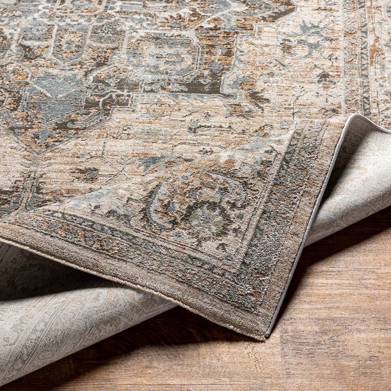 Artistic Weavers Remyr Vintage Distressed Area Rug