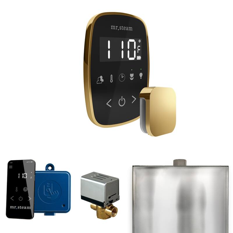 Mr Steam BF Butler Flex Package Steam Shower Control Package with - Black / Polished Brass