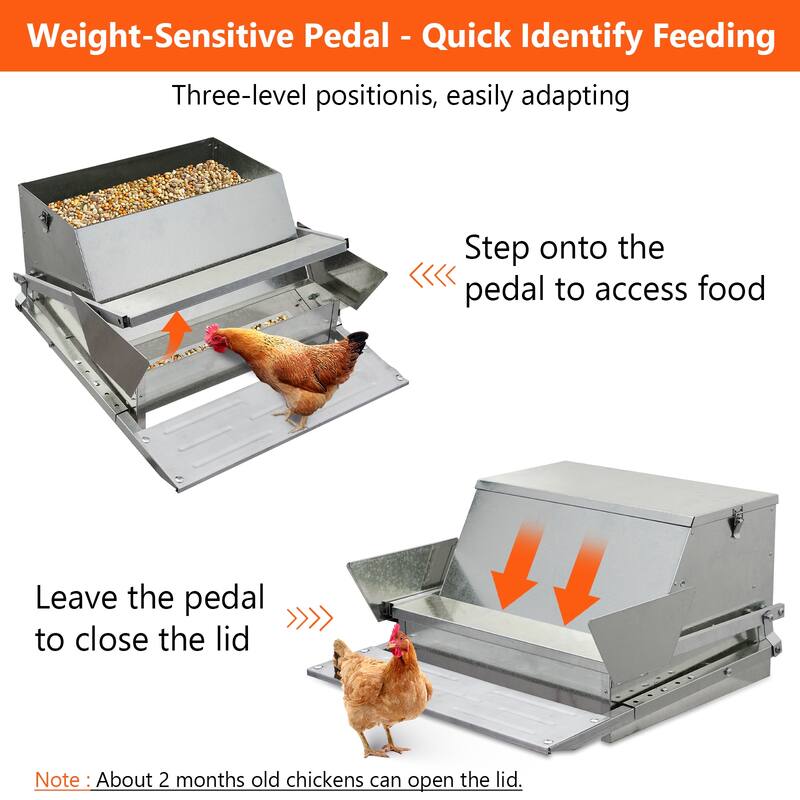 Automatic Chicken Treadle Feeder, 27 LB Galvanized Steel Poultry Feeder