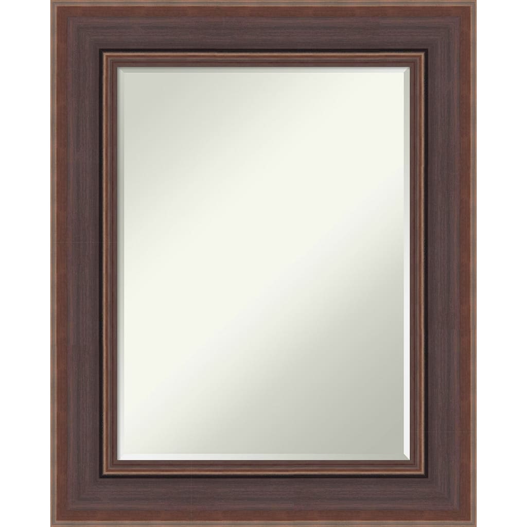 Moab Half-Inch-Bevel Framed Bathroom Vanity Wall Mirror - Moab Brown Bronze - 26 x 32 in