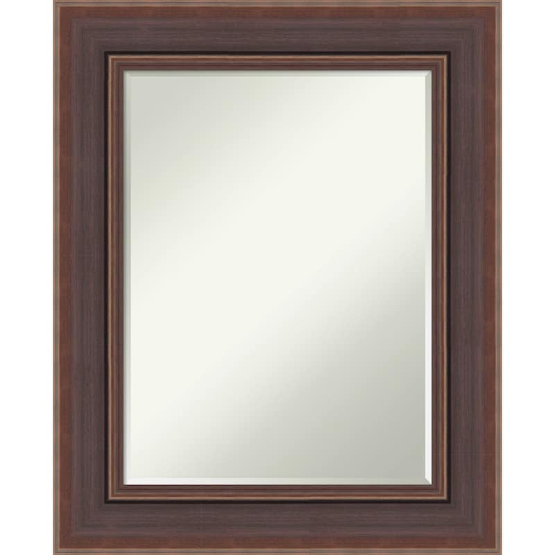 Moab Half-Inch-Bevel Framed Wall Mirror - Moab Brown Bronze - 26 x 32 in