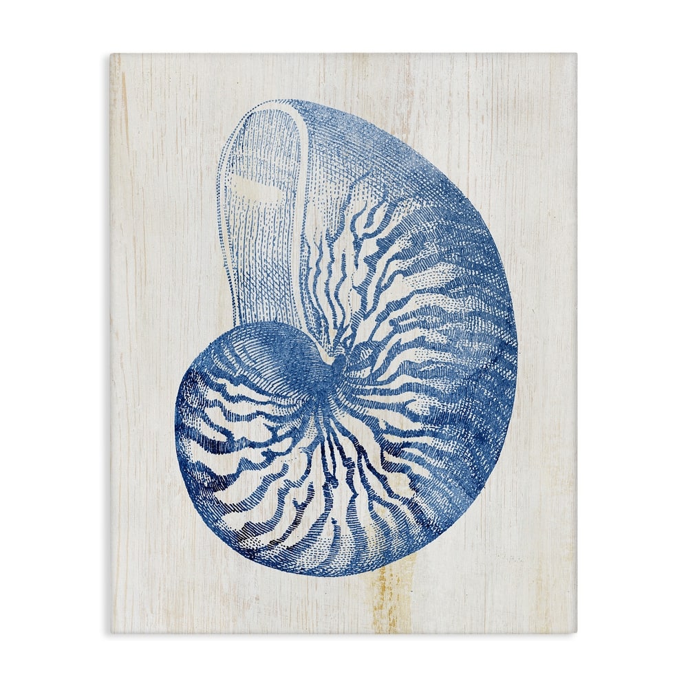 Stupell Blue Nautilus Shell Canvas Wall Art Design By Susan Arnot