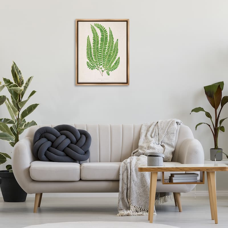 Stupell Cottage Ferns Study Framed Floater Canvas Wall Art Design By Phillipa Katz