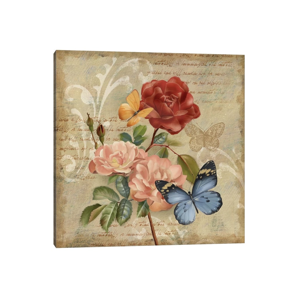 iCanvas "Butterfly Botanical II" by Conrad Knutsen Canvas Print