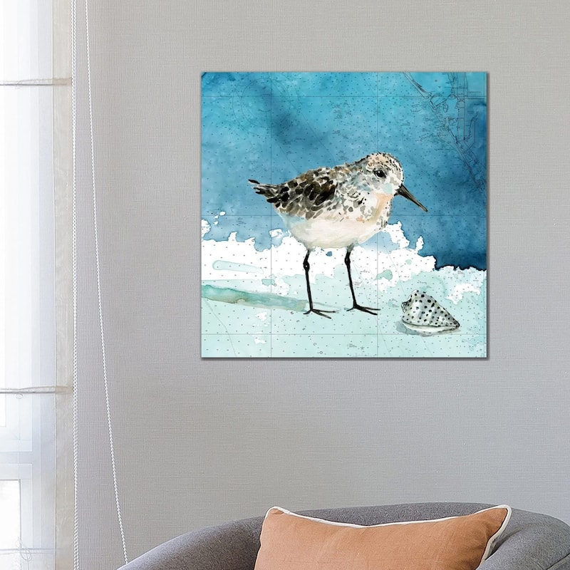 iCanvas "Bay Shore Sandpiper I" by Carol Robinson Canvas Print - 26x26x1.5