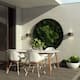 Option 5PC - White