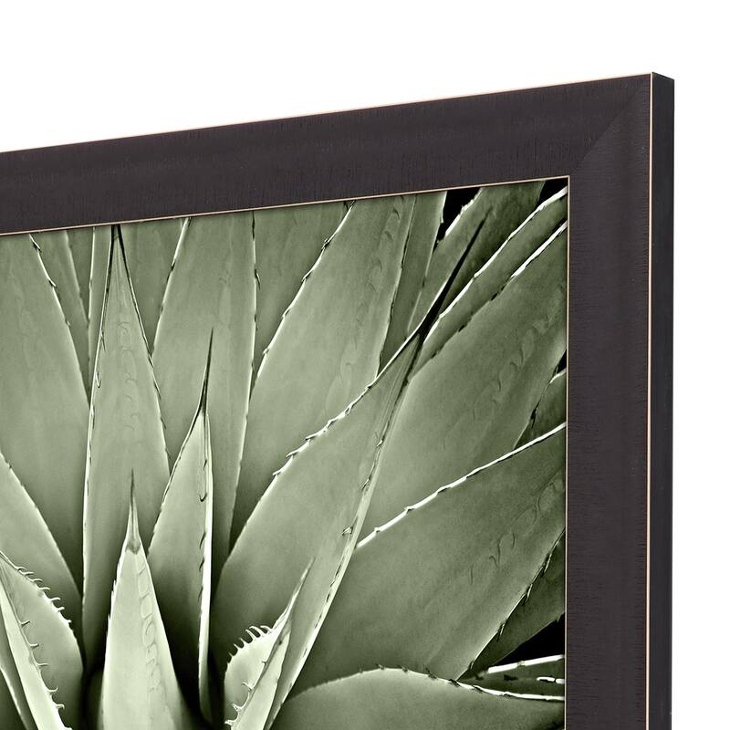 Green Succulent III Framed Art Giclee Under Glass
